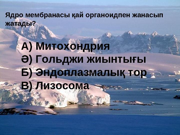 Ядро мембранасы қай органоидпен жанасып жатады? А) Митохондрия Ә) Гольджи жиынтығы Б) Эндоплазмалық тор В) Лизосома