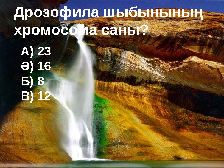 Дрозофила шыбынының хромосома саны? А) 23 Ә) 16 Б) 8 В) 12