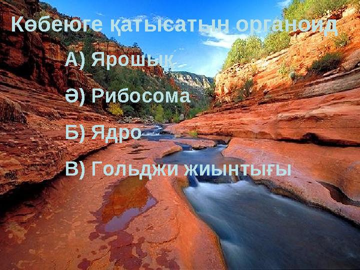 Көбеюге қатысатын органоид А) Ярошық Ә) Рибосома Б) Ядро В) Гольджи жиынтығы