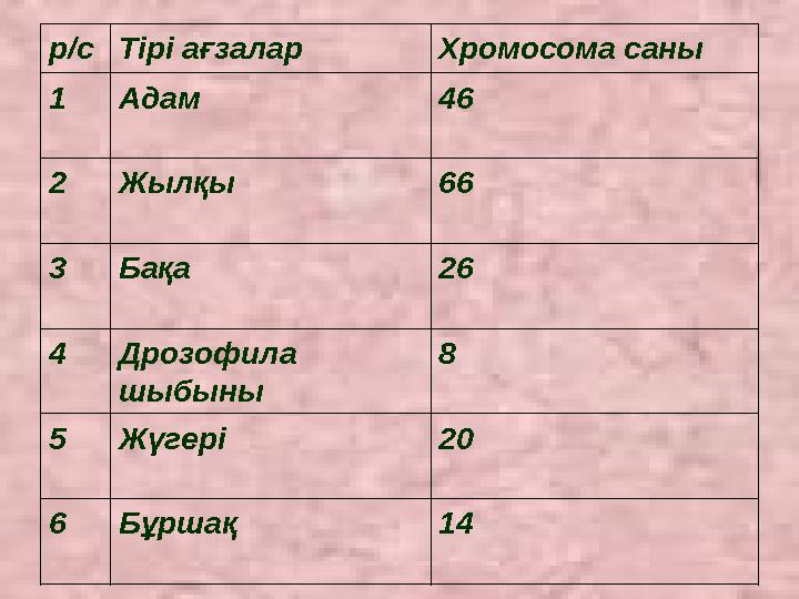 р/с Тірі ағзалар Хромосома саны 1 Адам 46 2 Жылқы 66 3 Бақа 26 4 Дрозофила шыбыны 8 5 Жүгері 20 6 Бұршақ 14