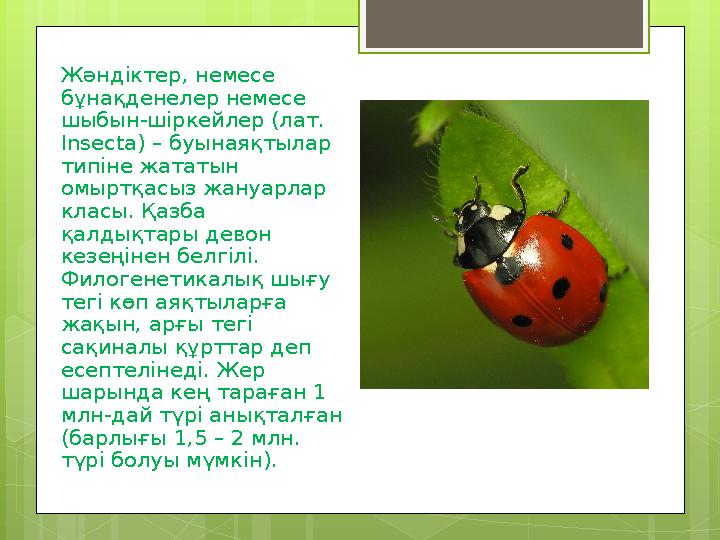 Жәндіктер, немесе бұнақденелер немесе шыбын-шіркейлер (лат. Insecta) – буынаяқтылар типіне жататын омыртқасыз жануарлар к