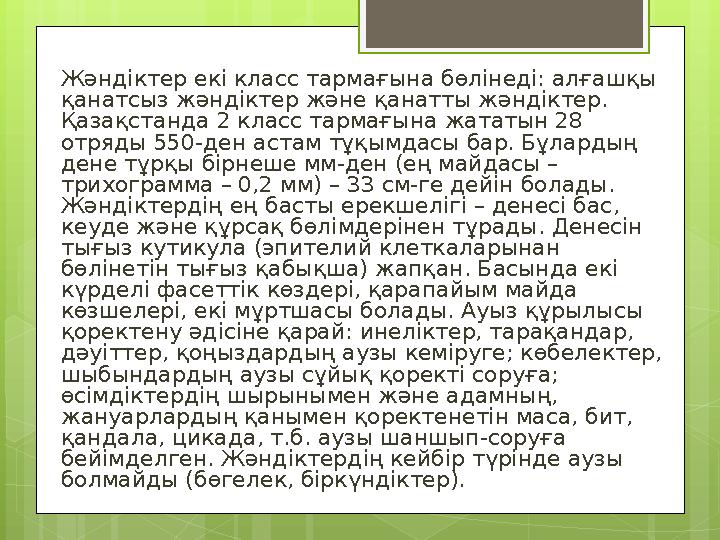 Жәндіктер екі класс тармағына бөлінеді: алғашқы қанатсыз жәндіктер және қанатты жәндіктер. Қазақстанда 2 класс тармағына жатат