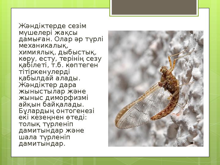 Жәндіктерде сезім мүшелері жақсы дамыған. Олар әр түрлі механикалық, химиялық, дыбыстық, көру, есту, терінің сезу қабілеті