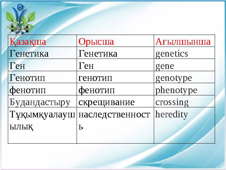 Қазақша Орысша Ағылшынша Генетика Генетика genetics Ген Ген gene Генотип генотип genotype фенотип фенотип phenotype Будандастыру