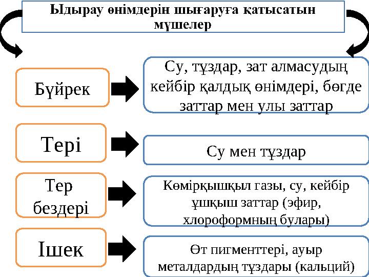 Бүйрек Тері Тер бездері Ішек Су, тұздар, зат алмасудың кейбір қалдық өнімдері, бөгде заттар мен улы заттар Су мен тұздар Көмі