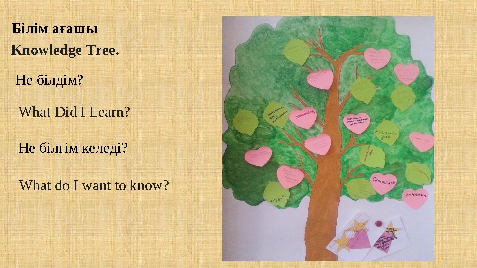 Knowledge Tree . Білім ағашы What Did I Learn? What do I want to know?Не білдім? Не білгім келеді?