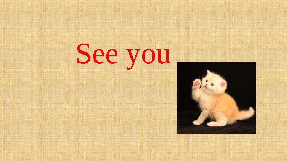 See you