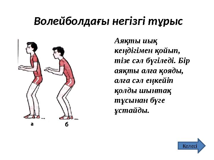 Волейболдағы негізгі тұрыс Аяқты иық кеңдігімен қойып, тізе сәл бүгіледі. Бір аяқты алға қояды, алға сәл еңкейіп қолды шынт