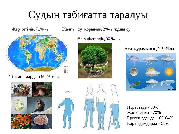 Колготкидегі, шұлықтағы және етіктегі порно