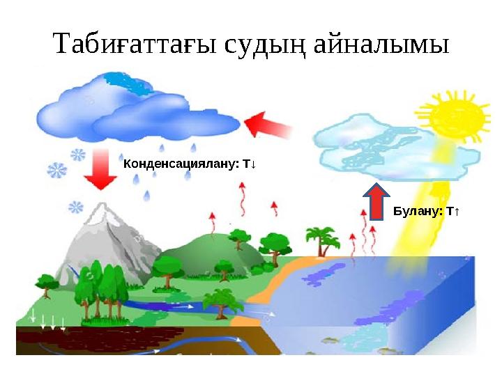 Табиғаттағы судың айналымы Булану: Т↑ Конденсациялану: Т ↓