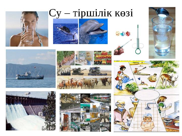 Су – тіршілік көзі