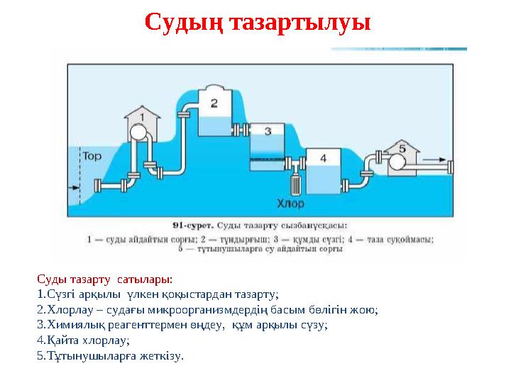 Судың тазартылуы Суды тазарту сатылары: 1.Сүзгі арқылы үлкен қоқыстардан тазарту; 2.Хлорлау – судағы микроорганизмдердің басым Судың тазартылуы Суды тазарту сатылары: 1.Сүзгі арқылы үлкен қоқыстардан тазарту; 2.Хлорлау – судағы микроорганизмдердің басым