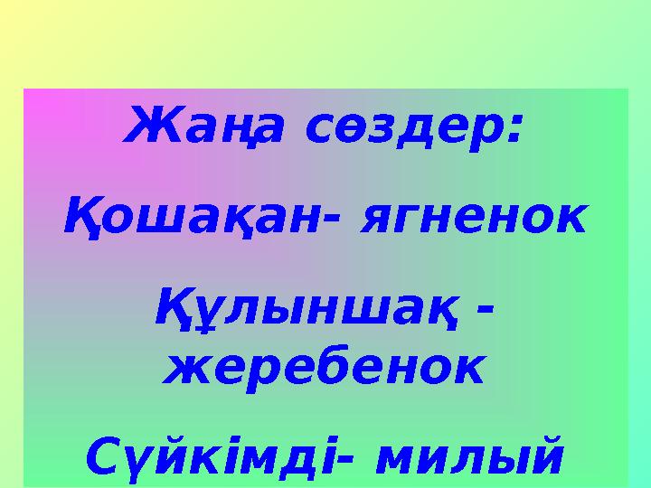 Жаңа сөздер: Қошақан- ягненок Құлыншақ - жеребенок Сүйкімді- милый