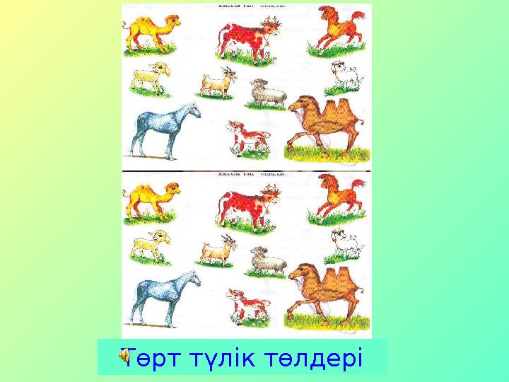 Төрт түлік төлдері