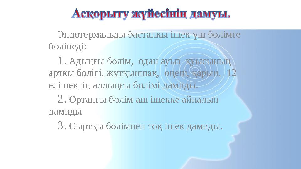 Эндотермальды бастапқы ішек үш бөлімге бөлінеді: 1. Адыңғы бөлім, одан ауыз қуысының артқы бөлігі, жұтқыншақ, өңеш, қарын