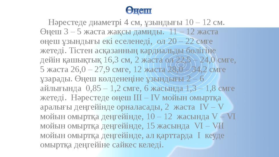 Нәрестеде диаметрі 4 см, ұзындығы 10 – 12 см. Өңеш 3 – 5 жаста жақсы дамиды. 11 – 12 жаста өңеш ұзындығы