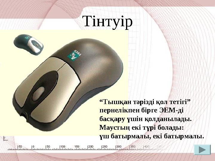 Тінтуір “ Тышқан тәрізді қол тетігі” пернелікпен бірге ЭЕМ-ді басқару үшін қолданылады. Маустың екі түрі болады: үш батырма