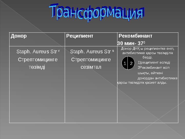 Донор Реципиент Рекомбинант 30 мин- 37 0 Staph. Aureus Str r Стрептомицинге төзімді Staph. Aureus Str s Стрептомиц