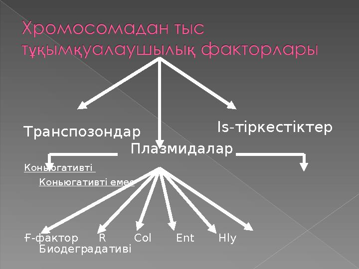 Транспозондар Плазмидалар Коньюгативті К