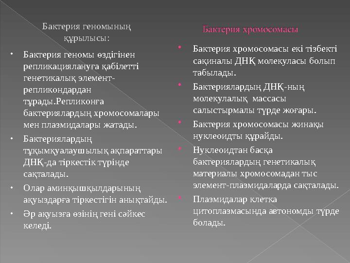  Бактерия хромосомасы екі тізбекті сақиналы ДНҚ молекуласы болып табылады.  Бактериялардың ДНҚ - ның молекулалық массасы