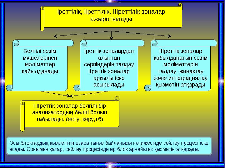 Іреттілік, ІІреттілік, ІІІреттілік зоналар ажыратылады Белгілі сезім мүшелерінен мәліметтер қабылданады Іреттік зоналардан