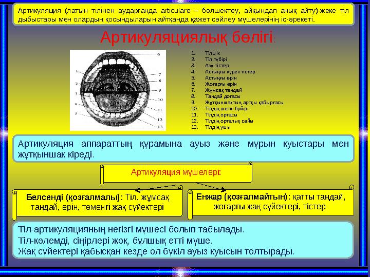 Артикуляциялық бөлігі : Артикуляция аппараттың құрамына ауыз және мұрын қуыстары мен жұтқыншақ кіреді. Артикуляция мүше