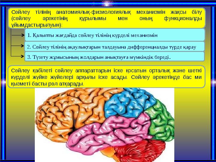 Сөйлеу тілінің анатомиялық-физиологиялық механизмін жақсы білу (сөйлеу әрекетінің құрылымы мен оның функционалды ұйы