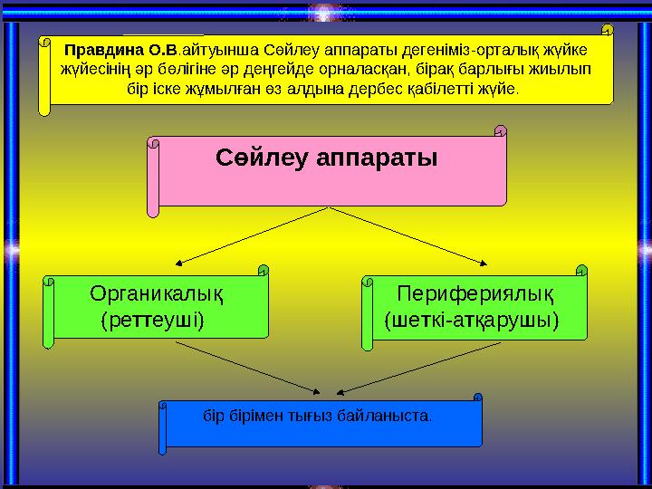 Сөйлеу аппараты Органикалық (реттеуші) Перифериялық (шеткі - атқарушы) бір бірімен тығыз байланыста. Правдина О.В .айтуынша