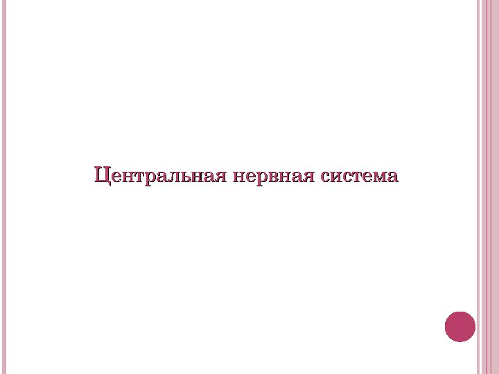 Центральная нервная системаЦентральная нервная система