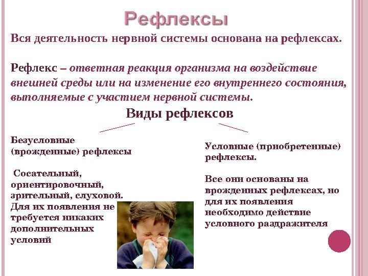 Вся деятельность нервной системы основана на рефлексах. Рефлекс – ответная реакция организма на воздействие внешней среды или