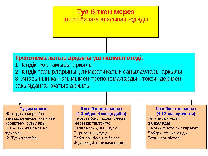 Трепонема жатыр арқылы үш жолмен өтеді: 1. Кіндік көк тамыры арқылы 2. Кіндік тамырларының лимфатикалық саңылаулары арқылы 3. А