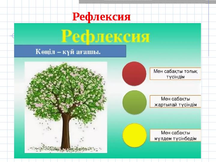 Рефлексия