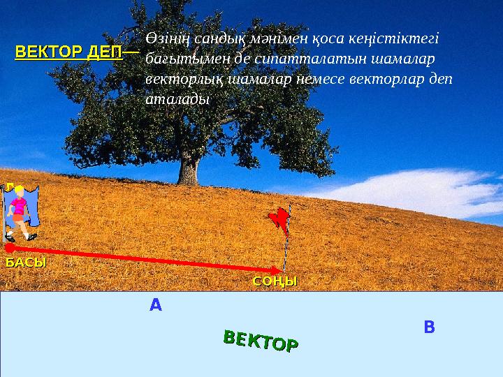 БАСЫБАСЫ СОҢЫСОҢЫ А ВВ Е К Т О Р В Е К Т О РВЕКТОР ДЕПВЕКТОР ДЕП — Өзінің сандық мәнімен қоса кеңістіктегі бағытымен де сип