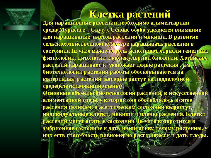 Клетка растенийКлетка растений Для наращивание растения необходимо алиментарная Для наращивание растения необходимо алиме