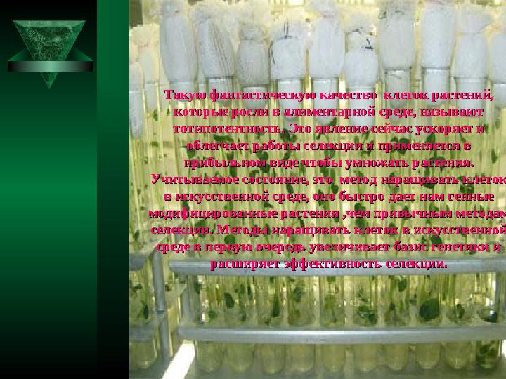 Такую фантастическую качество клеток растений, Такую фантастическую качество клеток растений, которые росли в алиментарной ср