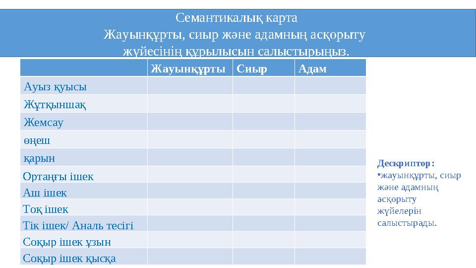 Семантикалық карта Жауынқұрты, сиыр және адамның асқорыту жүйесінің құрылысын салыстырыңыз. Дескриптор: • жауынқұрты