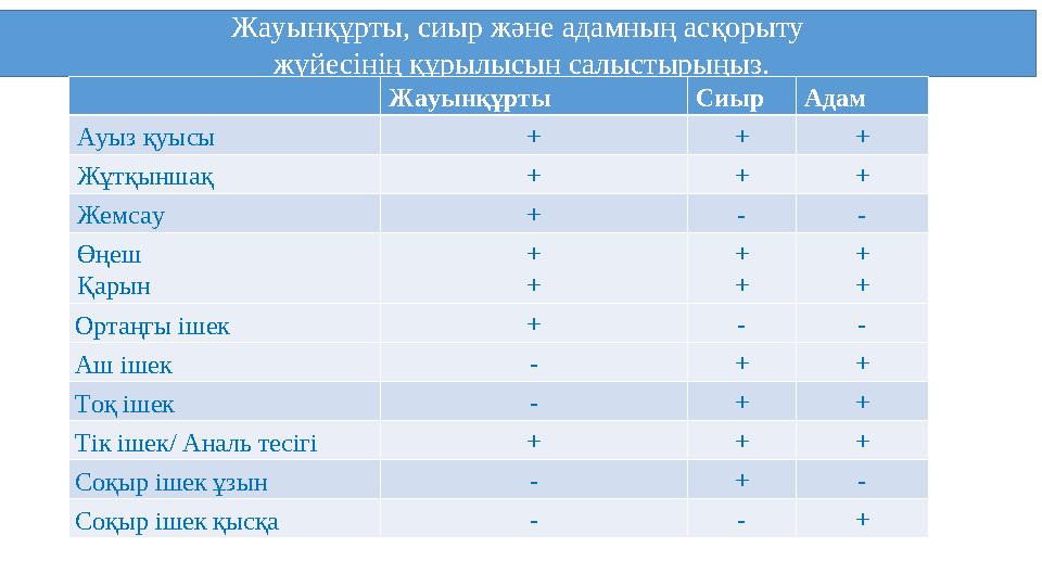 Жауынқұрты, сиыр және адамның асқорыту жүйесінің құрылысын салыстырыңыз. Жауынқұрты Сиыр Адам Ауыз қуысы + + + Жұтқынша