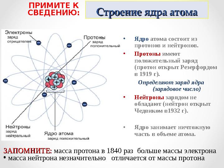 Строение ядра атомаСтроение ядра атома • Ядро атома состоит из протонов и нейтронов. • Протоны имеют положительный заряд (