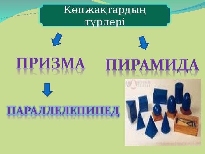 Көпжақтардың түрлері