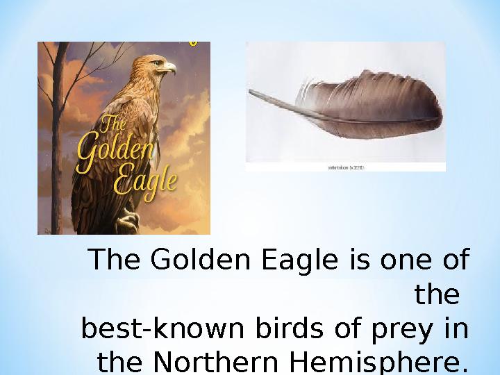 The Golden Eagle is one of the best-known birds of prey in the Northern Hemisphere.