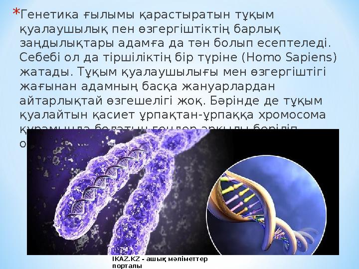 * Генетика ғылымы қарастыратын тұқым қуалаушылық пен өзгергіштіктің барлық заңдылықтары адамға да тән болып есептеледі. Себеб