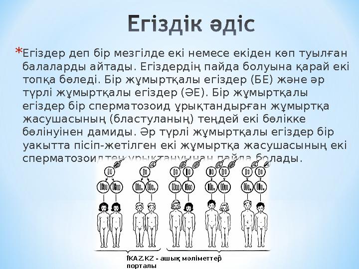 * Егіздер деп бір мезгілде екі немесе екіден көп туылған балаларды айтады. Егіздердің пайда болуына қарай екі топқа бөледі. Бі