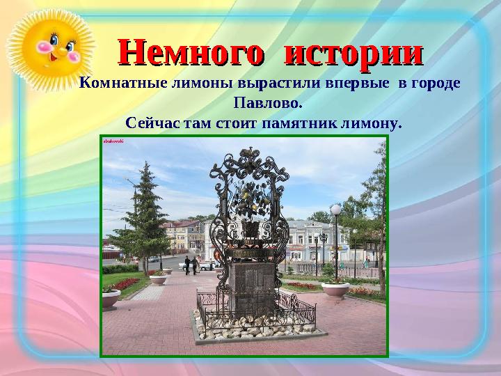 Немного историиНемного истории Комнатные лимоны вырастили впервые в городе Павлово. Сейчас там стоит памятник лимону.