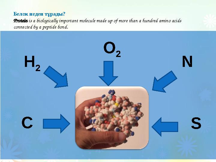 Белок неден тұрады? Protein is a biologically important molecule made up of more than a hundred amino acids conn