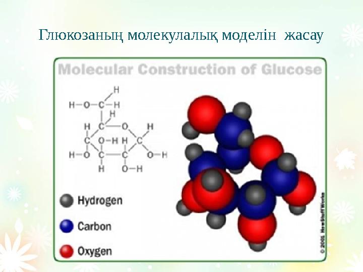 Глюкозаның молекулалық моделін жасау