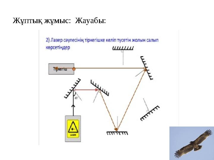 Жұптық жұмыс: Жауабы: