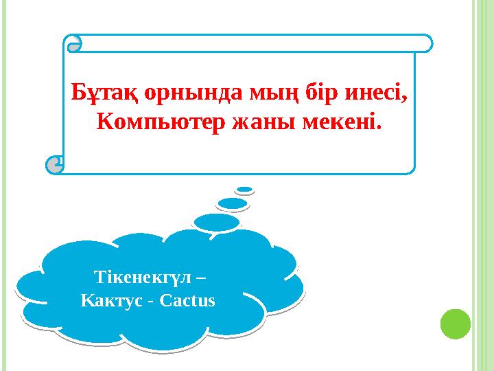 Бұтақ орнында мың бір инесі, Компьютер жаны мекені . Тікенекгүл – K актус - C actus Тікенекгүл – K актус - C actus