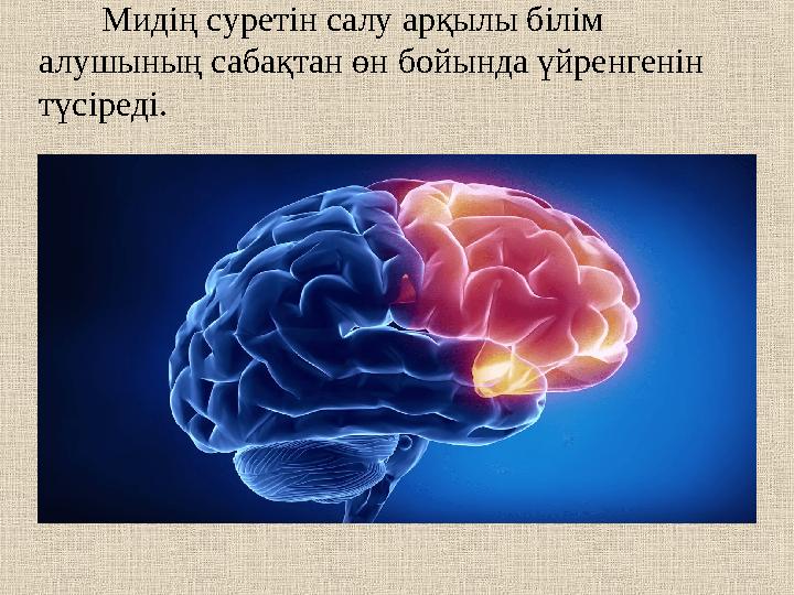 Мидің суретін салу арқылы білім алушының сабақтан өн бойында үйренгенін түсіреді.