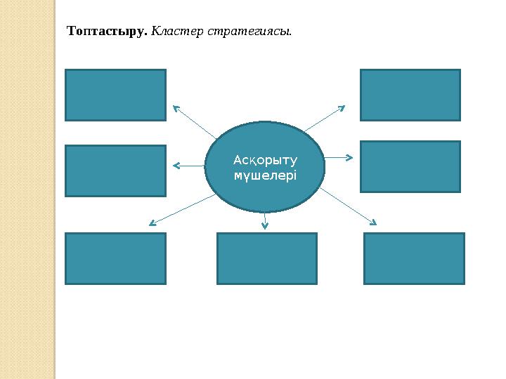 Топтастыру. Кластер стратегиясы. Асқорыту мүшелері