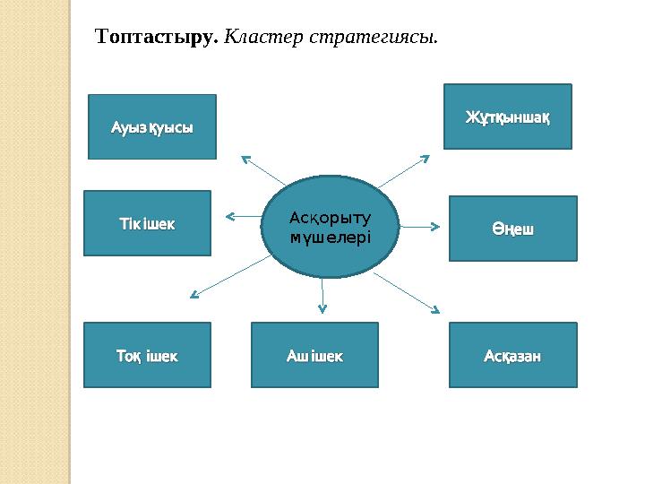 Топтастыру. Кластер стратегиясы. Асқорыту мүшелері